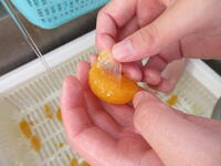 ③薄皮が溶けて簡単にとれる。 ③薄皮が溶けて簡単にとれる。