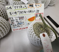 メロン　HP