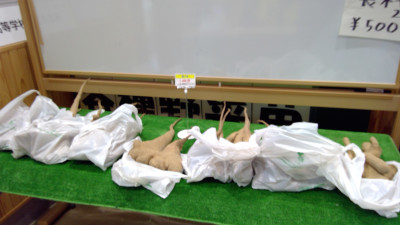 WIN_20251210_15_36_21_Pro