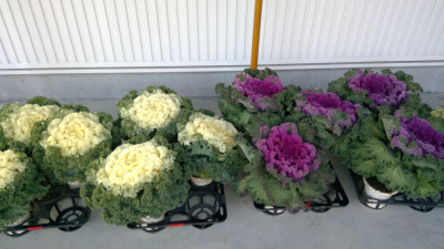 WIN_20251210_15_35_58_Pro